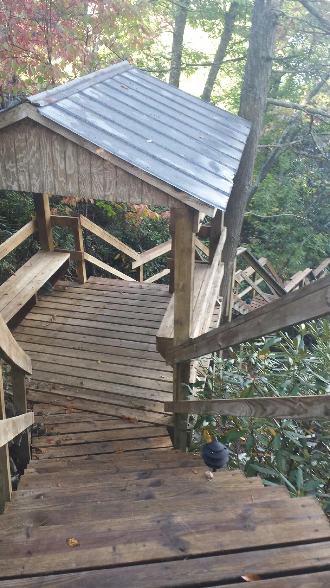Metal roofed shelter over wooden steps on a wooded walkway — Skylight Repair & Installation work by our crew in San Bernardino